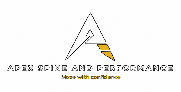 Apex Spine and Performance 