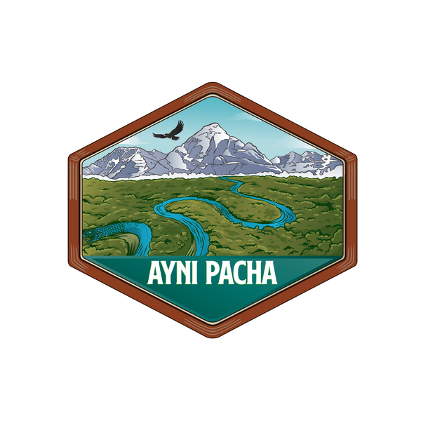 Ayni Pacha