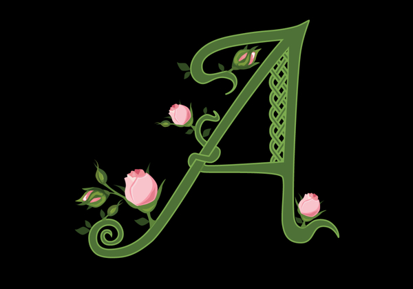 Aviva Wellness and Aesthetics