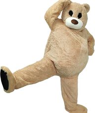 Book an Appointment with Therapy Bear for Individual