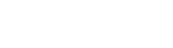 Holistic Wizard Wellness