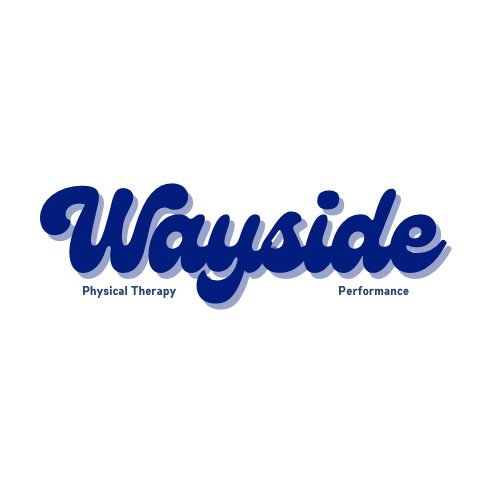 Wayside Physical Therapy and Performance