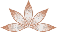 Rooted Health & Wellness