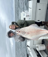 Book an Appointment with Camry Ellis for Infrared Room