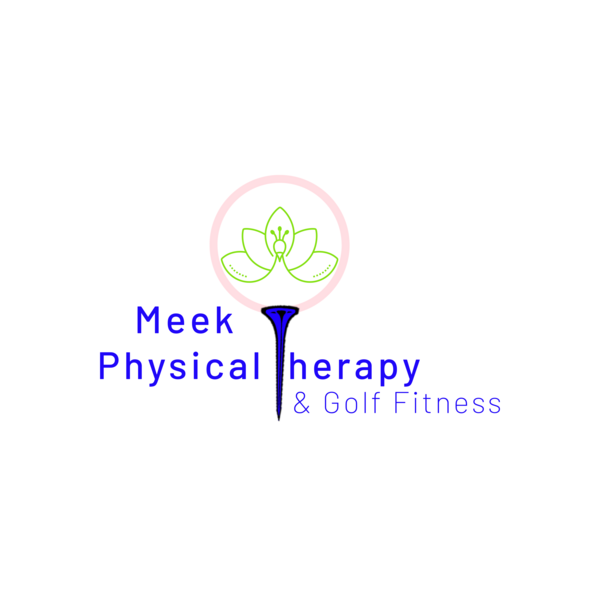 Meek Physical Therapy PLLC